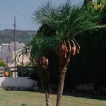 Villa Stamatina *